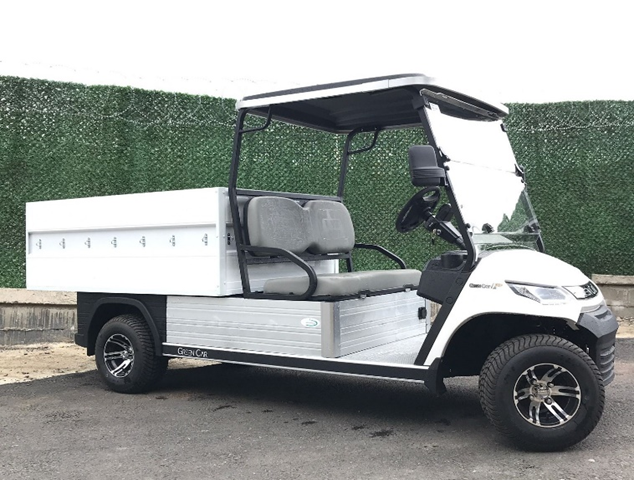 Green Car Cargo XL Qolf maşını